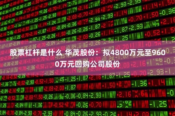 股票杠杆是什么 华茂股份：拟4800万元至9600万元回购公司股份