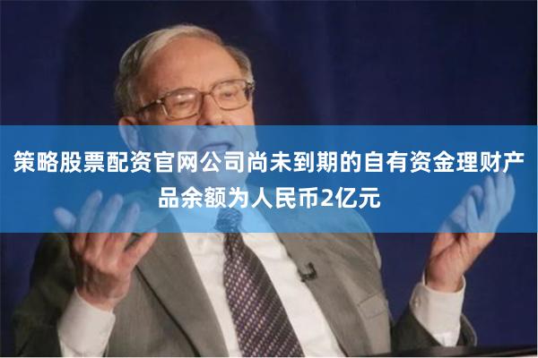 策略股票配资官网公司尚未到期的自有资金理财产品余额为人民币2亿元